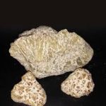 Buy MDMA Crystals Online | Where To Buy MDMA Crystals Online | Order MDMA Crystals Online | MDMA Crystals For Sale Online