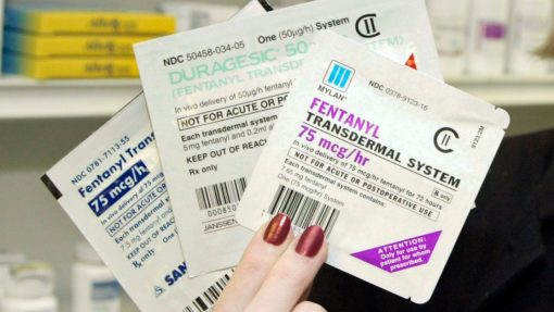 Mylan Fentanyl Patche | Comprar Mylan Fentanyl Patche Online | Onde Comprar Mylan Fentanyl Patche Online | Encomenda Mylan Fentanyl Patche Online